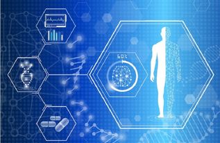 AI醫(yī)療的落地應(yīng)用全景 從智能診療到基礎(chǔ)軟件開發(fā)的實(shí)踐與探索